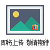 龍門銑床床身導(dǎo)軌700-廠